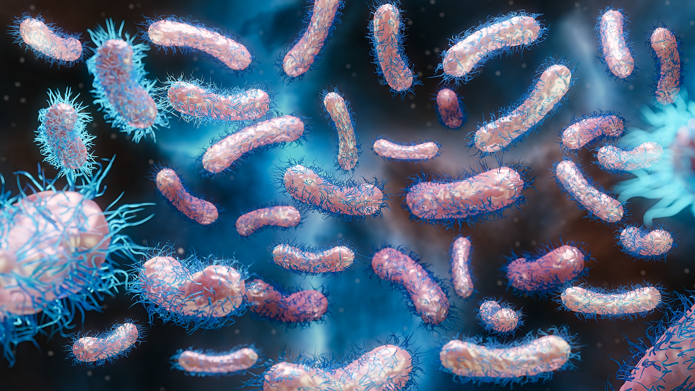 Microscope view of E. coli bacteria in water