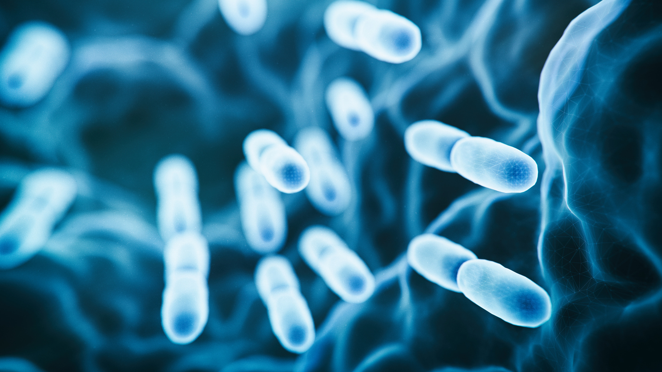 Microscope view of waterborne bacteria contamination