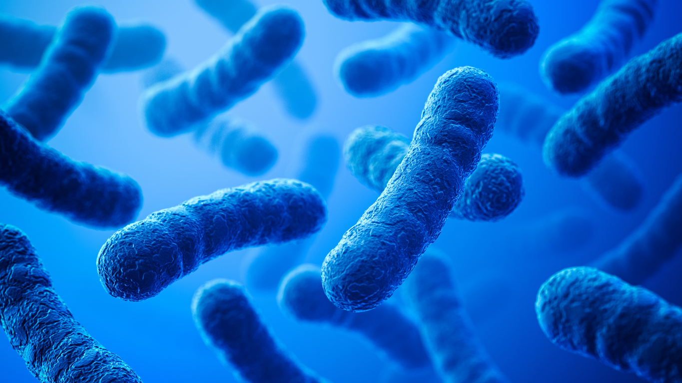 UV water sterilization system for legionella bacteria control