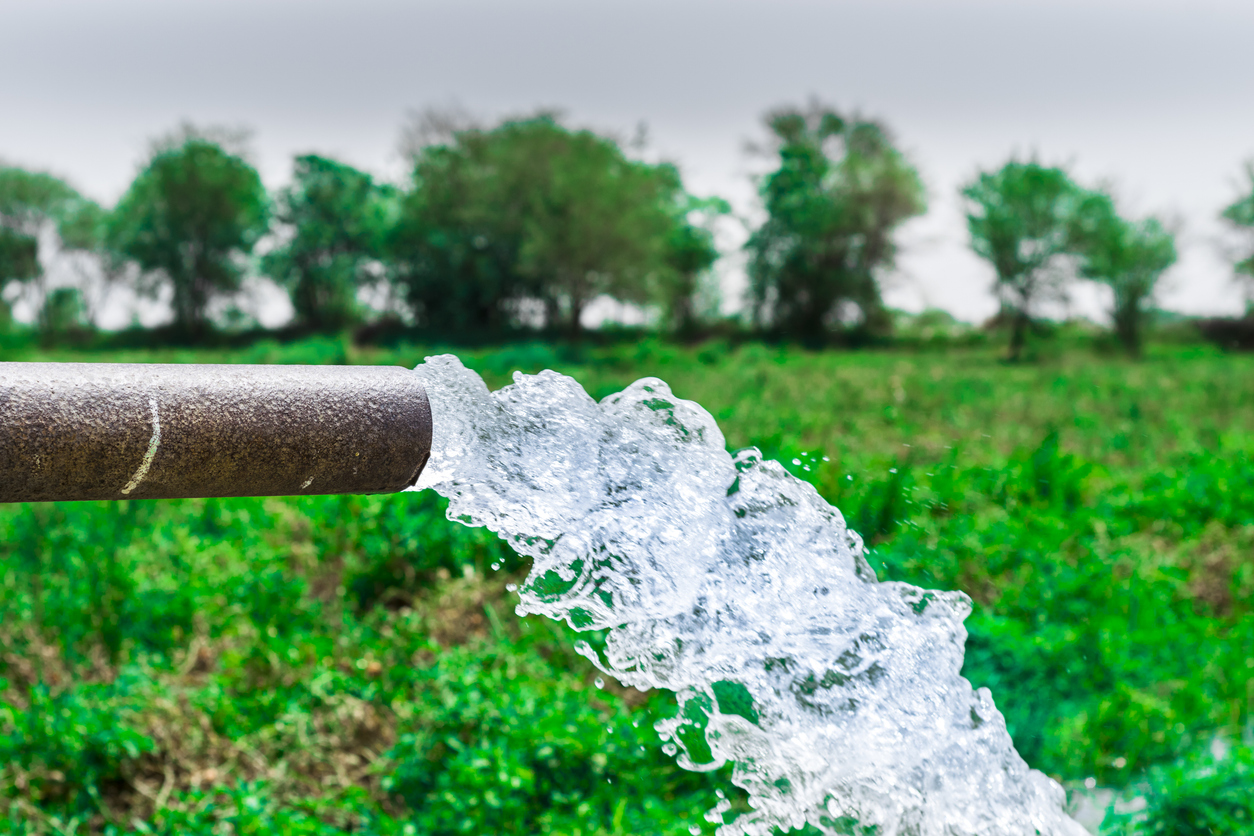Salt-affected soil in an irrigated agricultural field